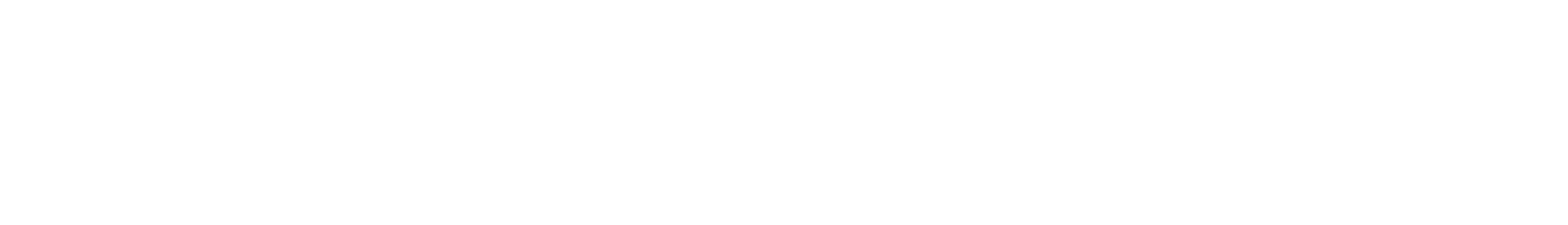 Full White Logo